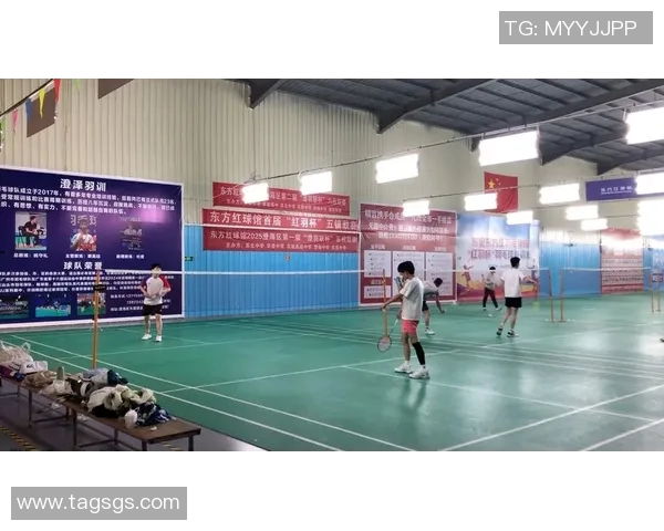 羽毛球盛宴：深入探讨武汉羽毛球队的默契配合与战术策略